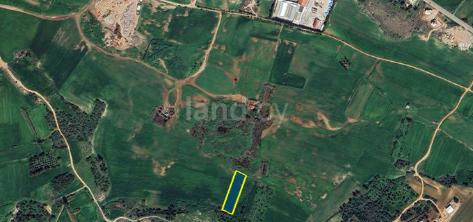 Agricultural field for sale in Paralimni
