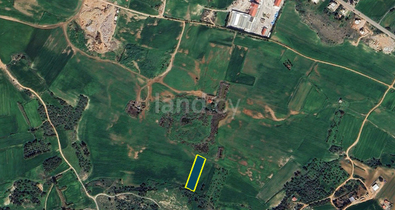 Agricultural field for sale in Paralimni