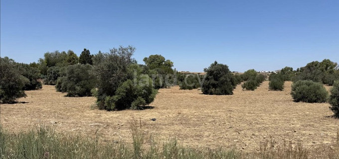 Residential field for sale in Nicosia