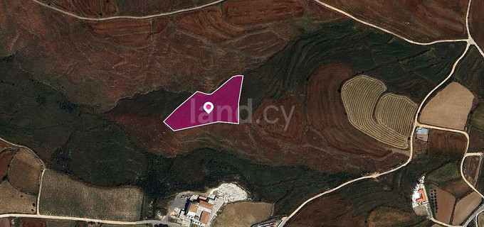 Field for sale in Paphos
