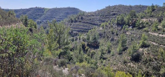 Agricultural field for sale in Limassol