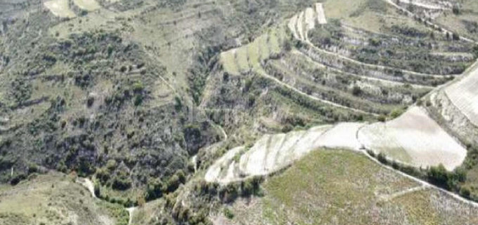 Agricultural field for sale in Limassol