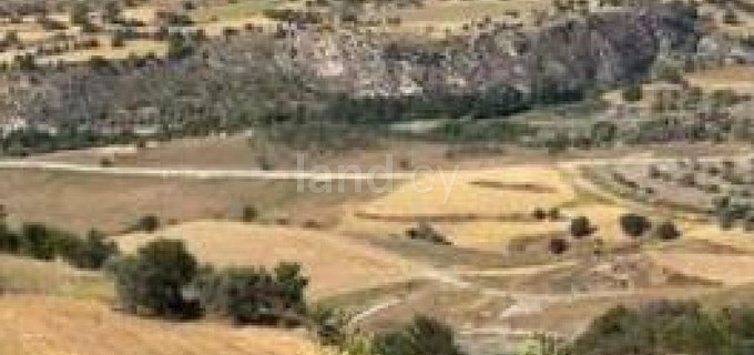 Campo agrícola a la venta en Paphos