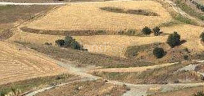 Campo agrícola a la venta en Paphos