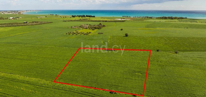 Agricultural field for sale in Larnaca