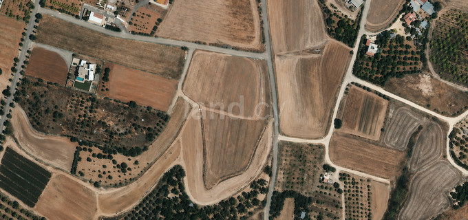 Agricultural field for sale in Paphos