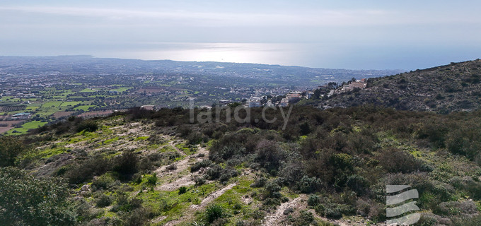Agricultural field for sale in Paphos