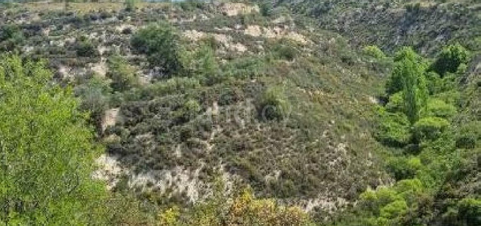 Agricultural field for sale in Limassol
