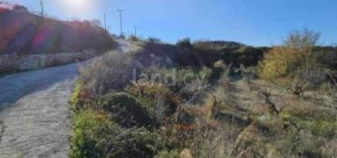 Agricultural field for sale in Paphos