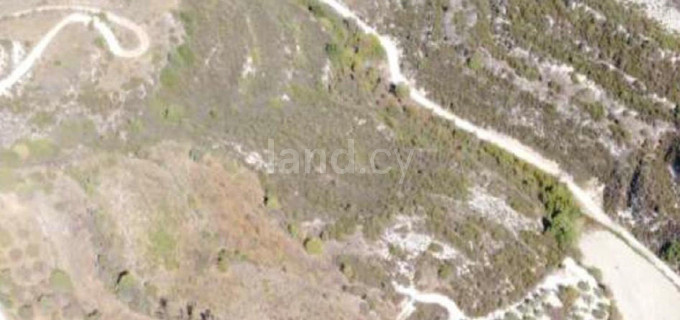 Agricultural field for sale in Limassol