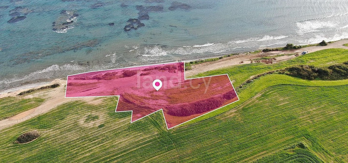 Field for sale in Larnaca