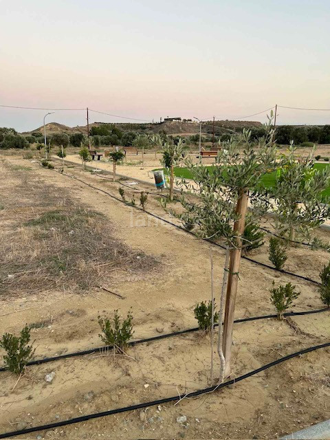 Plot for sale in Nicosia