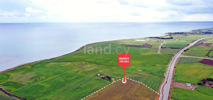 Touristic field for sale in Larnaca
