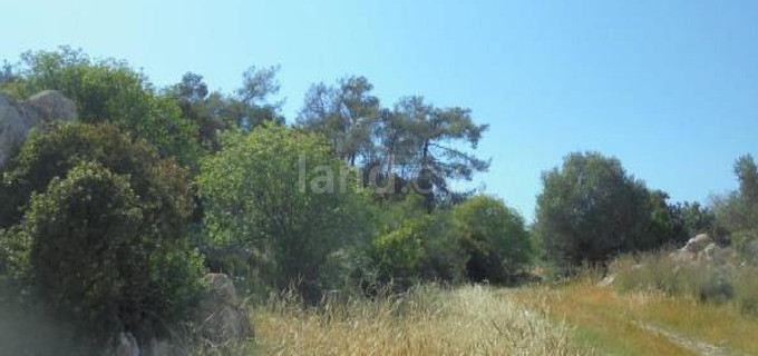 Agricultural field for sale in Limassol