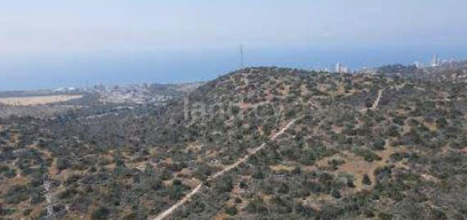 Agricultural field for sale in Limassol