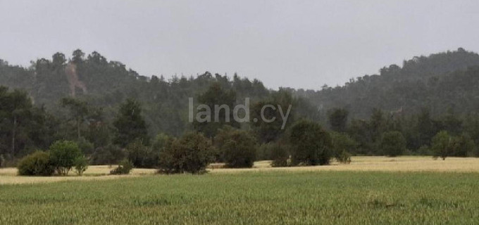 Agricultural field for sale in Nicosia