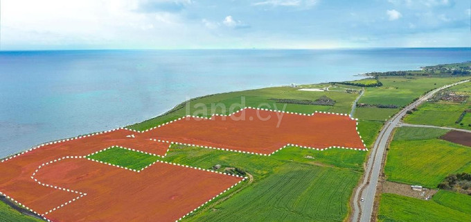 Touristic field for sale in Larnaca