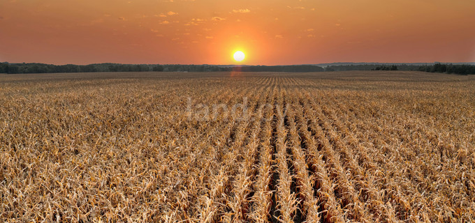Agricultural field for sale in Frenaros
