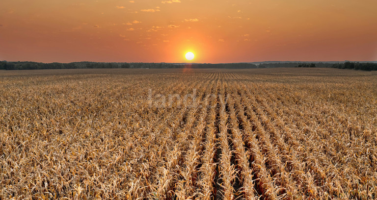 Agricultural field for sale in Frenaros