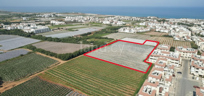 Residential field for sale in Kapparis