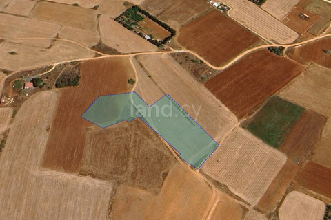 Agricultural field for sale in Frenaros