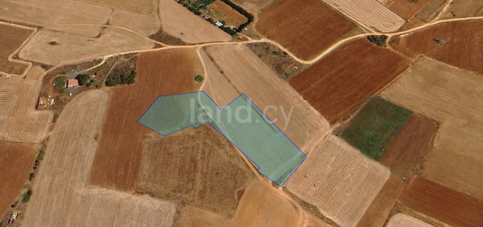 Agricultural field for sale in Frenaros