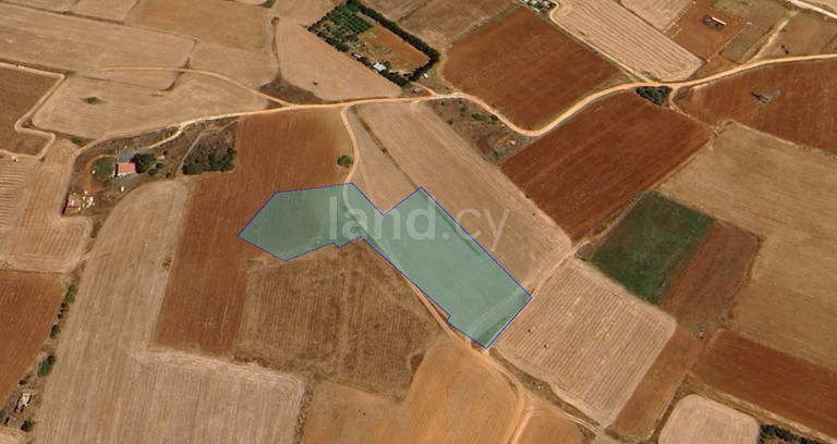 Agricultural field for sale in Frenaros