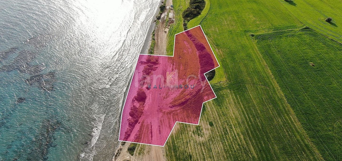 Touristic field for sale in Larnaca