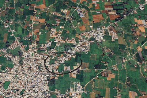 Agricultural field for sale in Frenaros