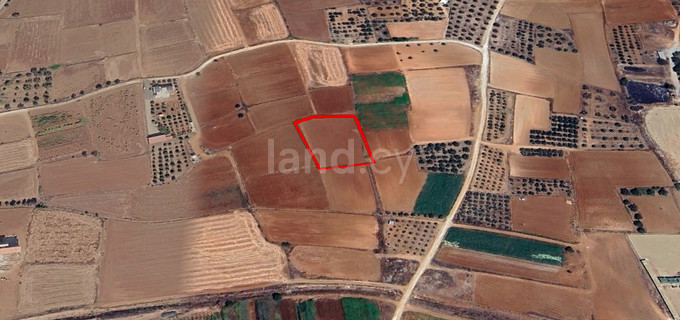 Landwirtschaftliches Baugebiet in Nicosia zu verkaufen