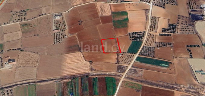 Landwirtschaftliches Baugebiet in Nicosia zu verkaufen