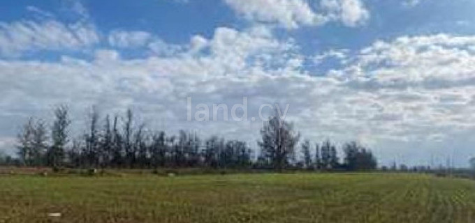 Agricultural field for sale in Nicosia
