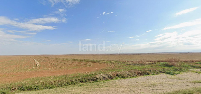Agricultural field for sale in Nicosia