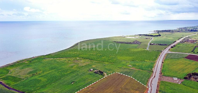 Touristic field for sale in Larnaca