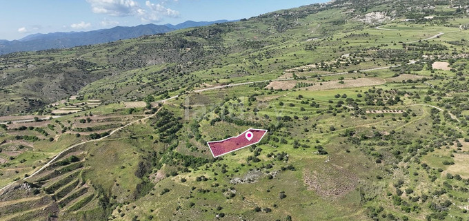 Plot for sale in Paphos
