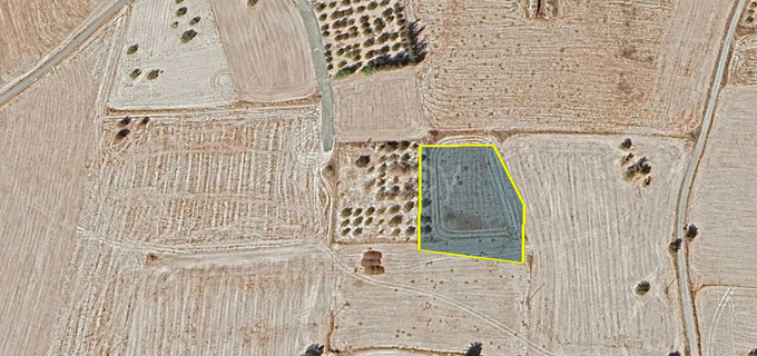 Residential field for sale in Larnaca
