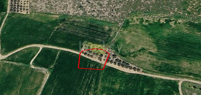Agricultural field for sale in Nicosia