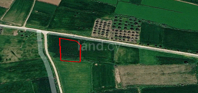 Agricultural field for sale in Nicosia