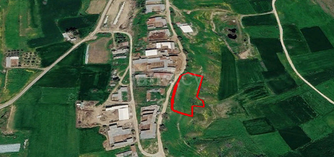 Agricultural field for sale in Nicosia