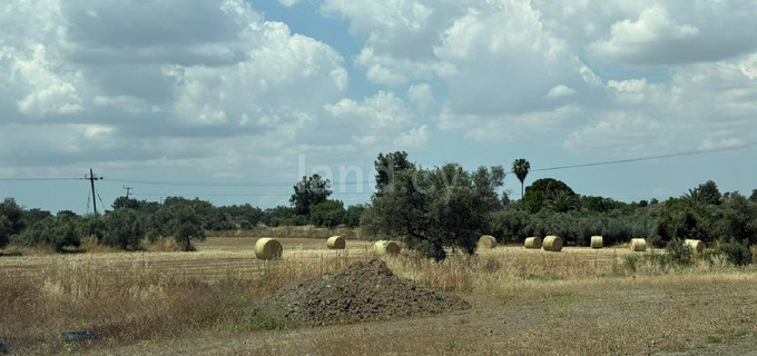 Residential field for sale in Nicosia