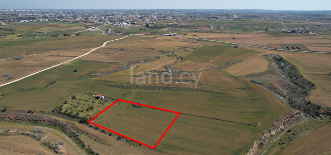 Agricultural field for sale in Nicosia