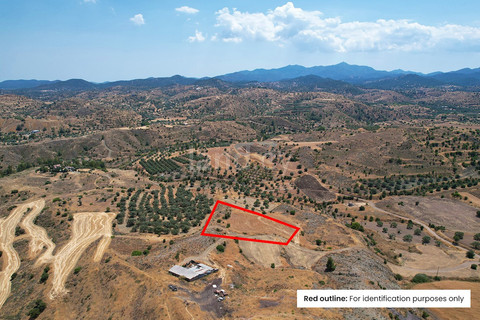 Agricultural field for sale in Nicosia