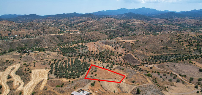 Agricultural field for sale in Nicosia