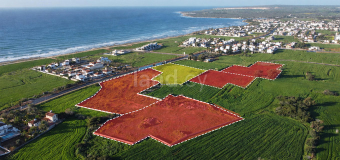 Touristic field for sale in Ayia Thekla