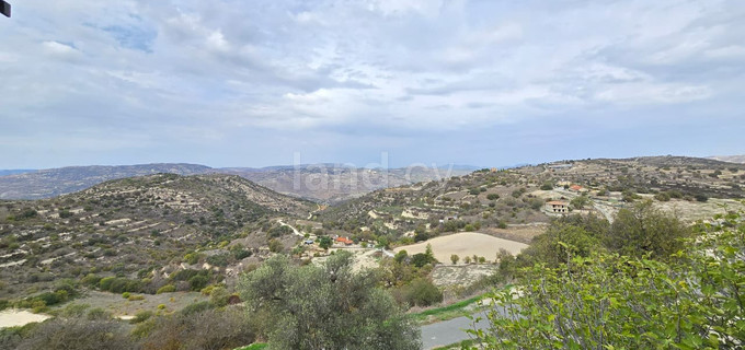 Residential field for sale in Limassol