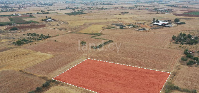 Agricultural field for sale in Avgorou