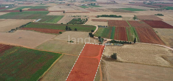 Agricultural field for sale in Avgorou