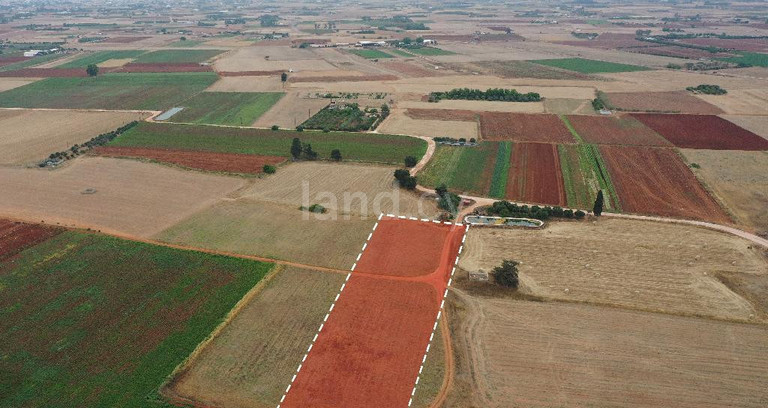 Agricultural field for sale in Avgorou