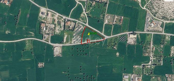 Agricultural field for sale in Larnaca