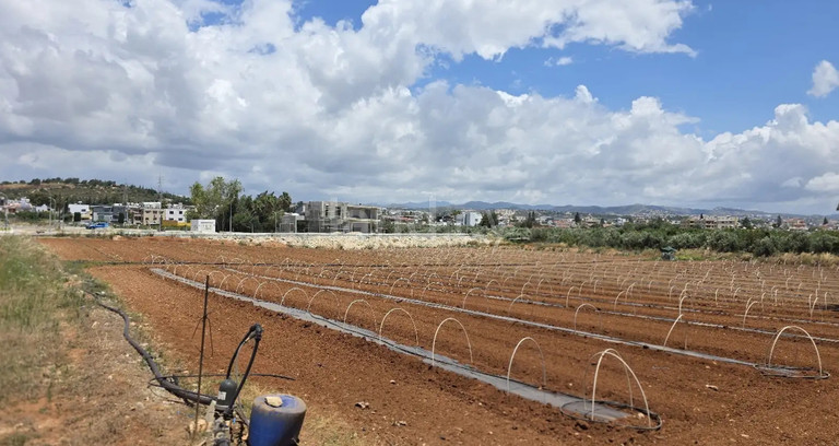 Residential field for sale in Limassol